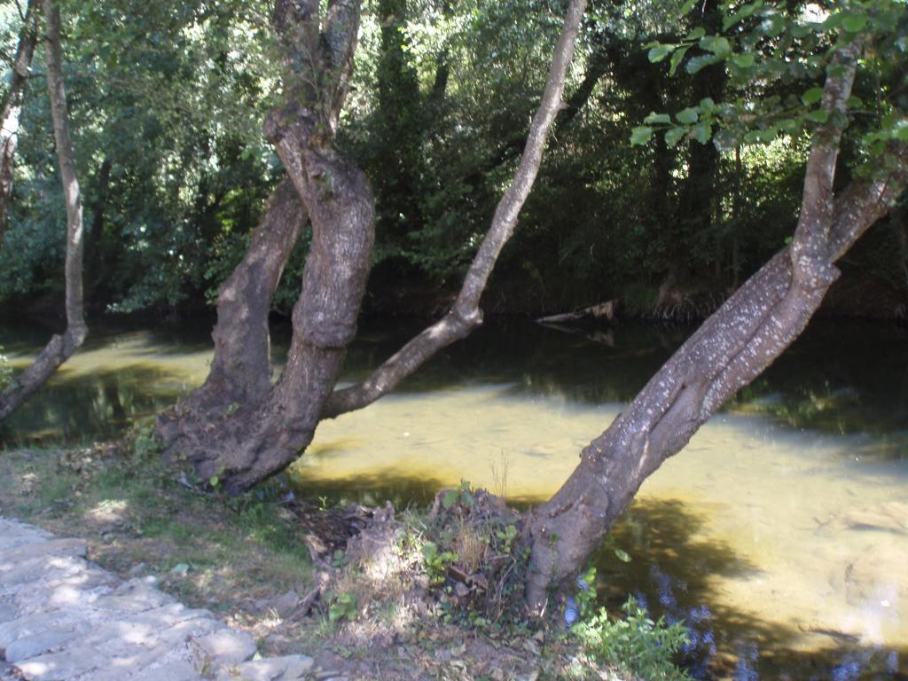 Moinho Da Ponte Velha Pensionat Bragança Exteriör bild